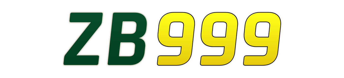 zb999